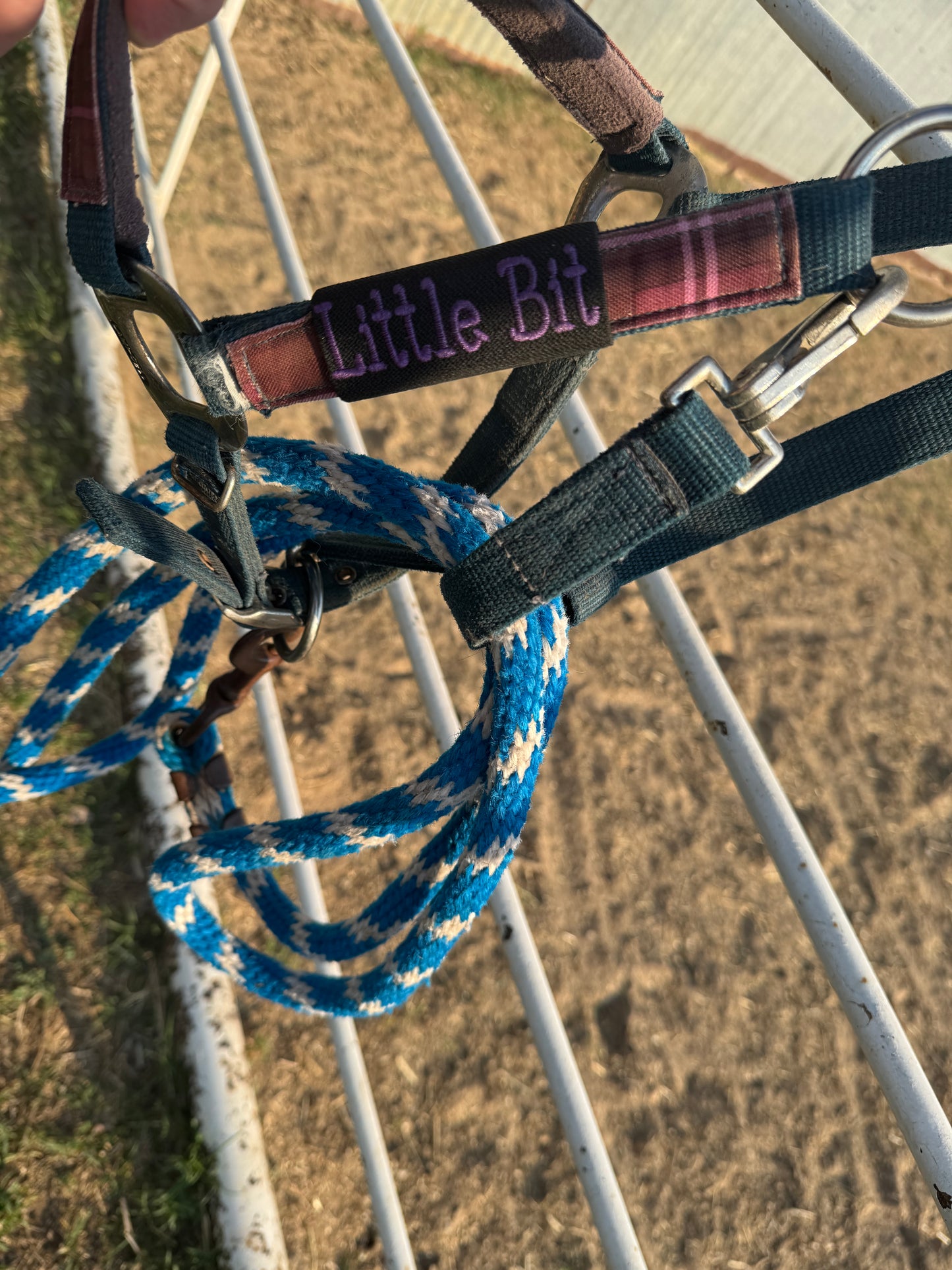 Dog or Horse Name Tag