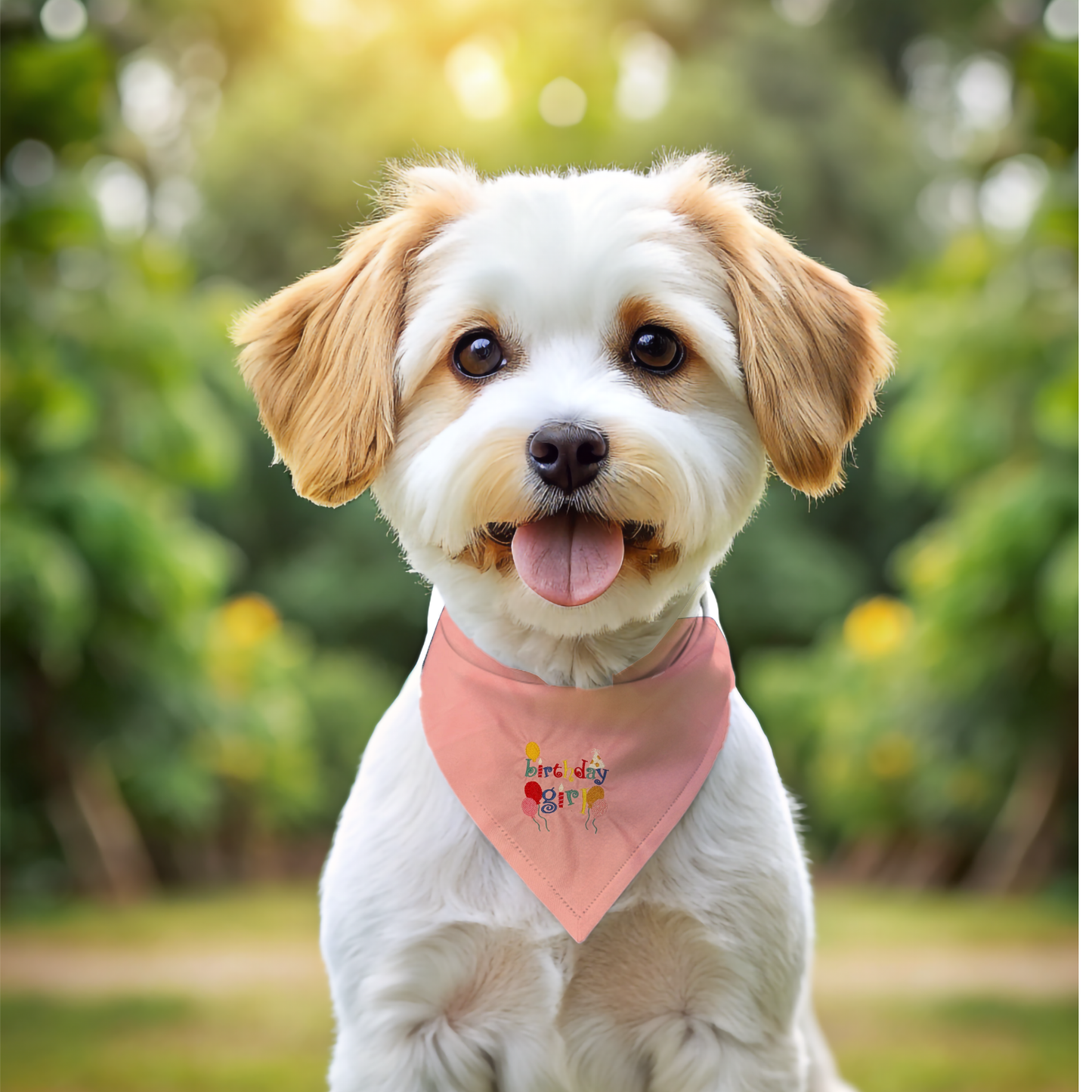 Happy Birthday Bandanas