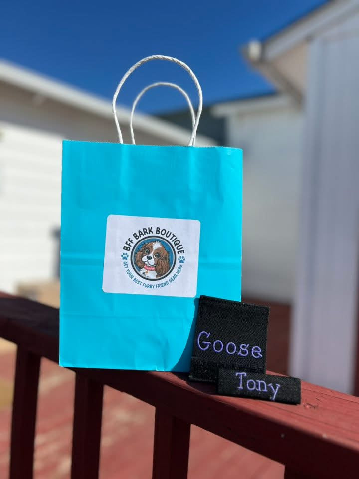 Dog or Horse Name Tag
