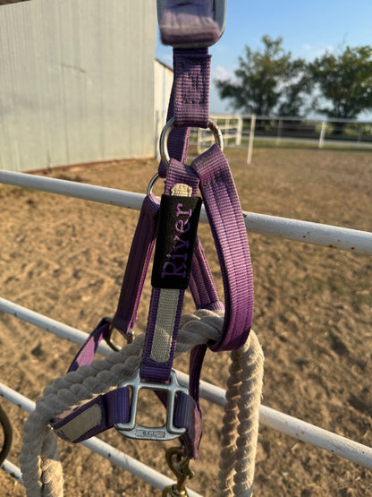 Dog or Horse Name Tag