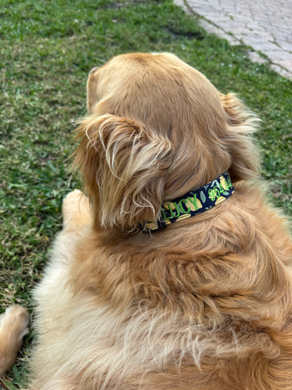 Lemons Collar