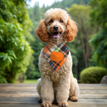 Halloween Bandanas