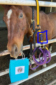 Dog or Horse Name Tag