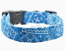Blue Bandana Collar