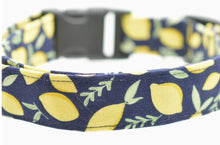 Lemons Collar