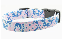 Pink and Blue Paisley Collar